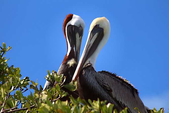 Sian Kaan Full-Day Tour From Tulum With Snorkeling - Meeting and Pickup Information