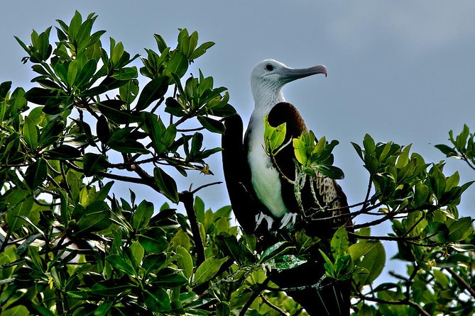 Sian Kaan Full-Day Tour From Tulum With Snorkeling - Additional Information and Cancellation Policy