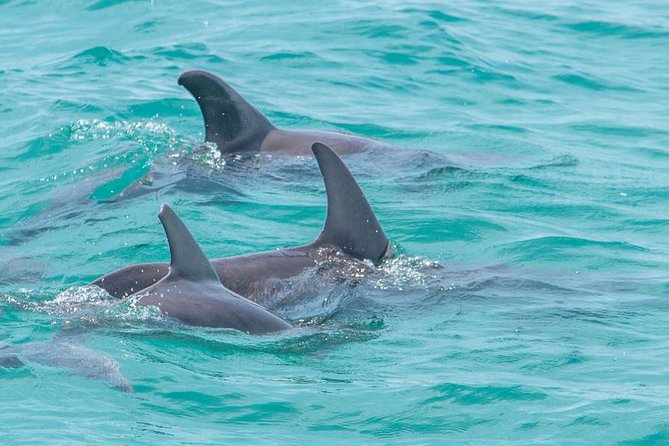 Sian Kaan Full-Day Tour From Tulum With Snorkeling - Environmental Sustainability