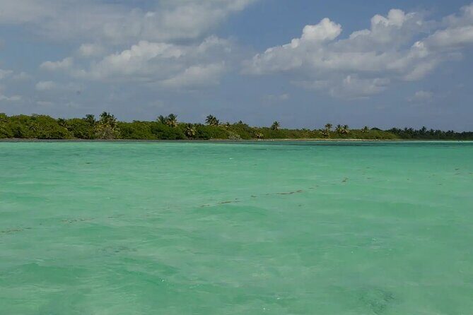 Sian Kaan Reserve Private Bike Tour - An In-Depth Look at the Tour Experience