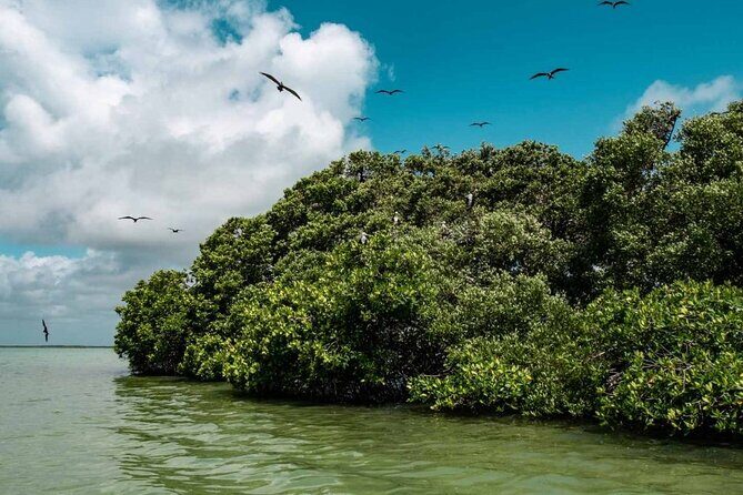 Sian Ka'an Reserve Tour - Why This Tour Is Worth It