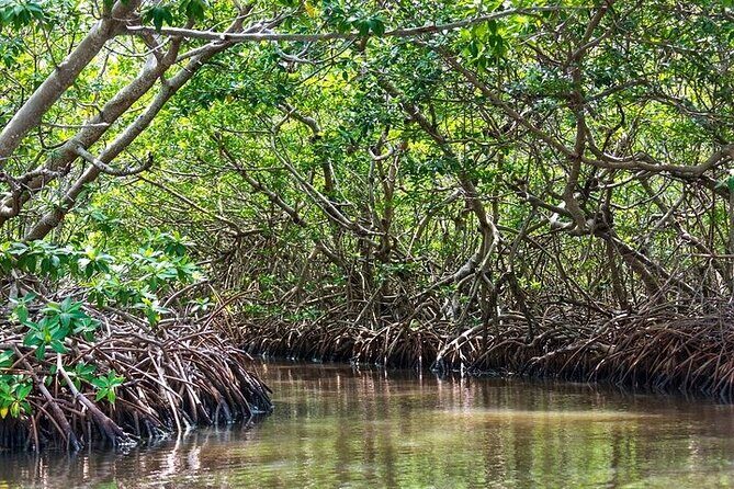 Sian Kaan Reserve Tour with Boat Trip and Maya Village Visit - The Sum Up  