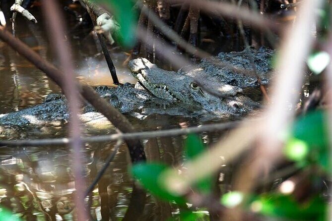 Sian Kaan Reserve Tour with Boat Trip and Maya Village Visit - FAQ  