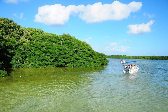 Sian Kaan Trip From Playa Del Carmen & Tulum - Traveler Reviews