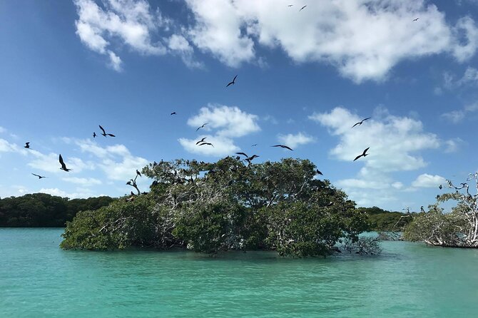 Sian Kaan Trip From Playa Del Carmen & Tulum - Traveler Photos