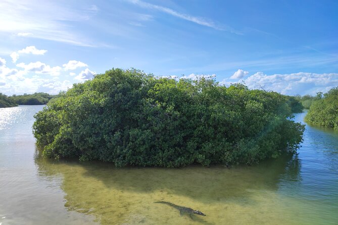 Sian Kaan Trip From Playa Del Carmen & Tulum - Additional Information