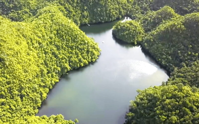 Siargao Escape(Tour L) : Private Island-Hopping Adventure - Good To Know