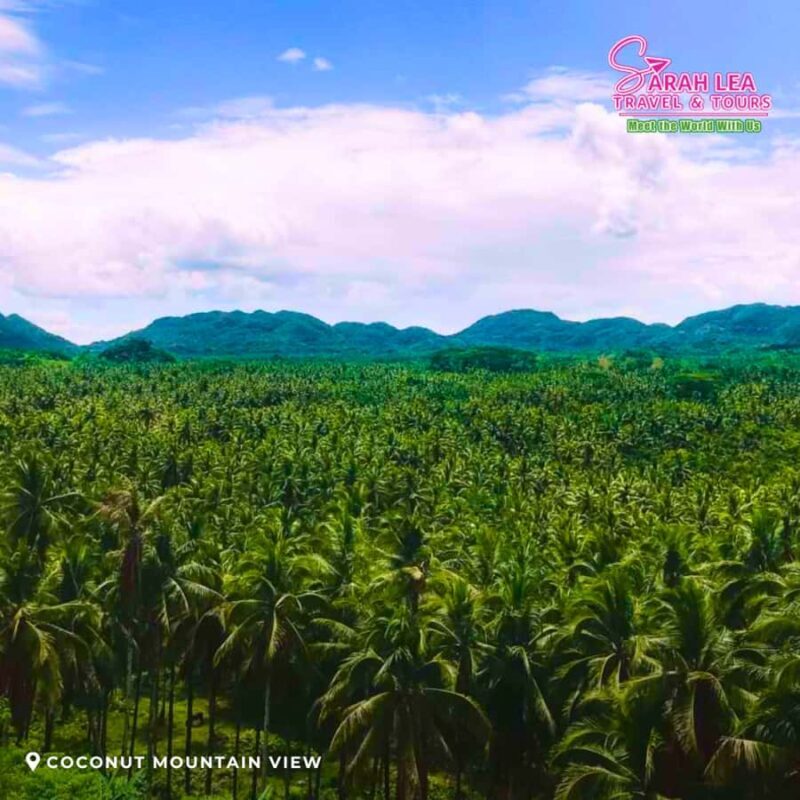 Siargao: Full-Day Land Adventure & Scenic Highlights Tour - Practical Tips for Travelers