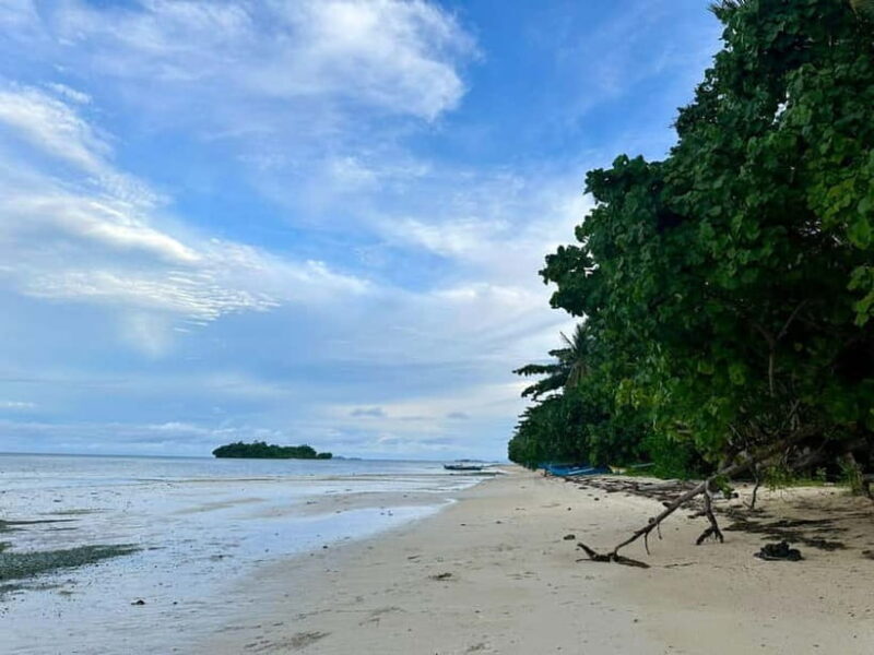 Siargao Island Vegetarian Cooking Class - Good To Know
