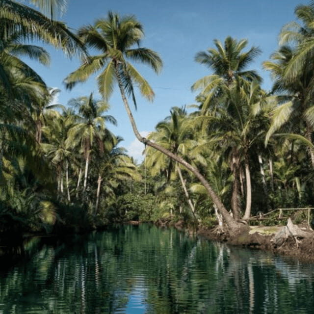 Siargao: Land Tour with Lunch and Sugba Lagoon - Good To Know