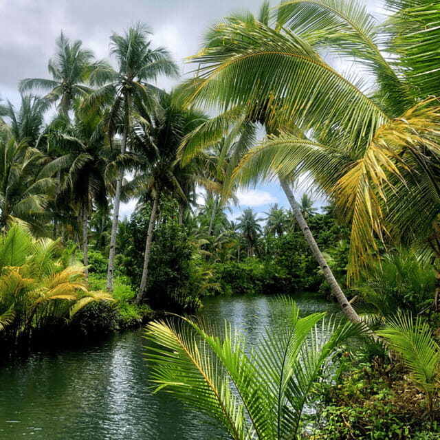 Siargao: Land Tour with Lunch and Sugba Lagoon - Introduction