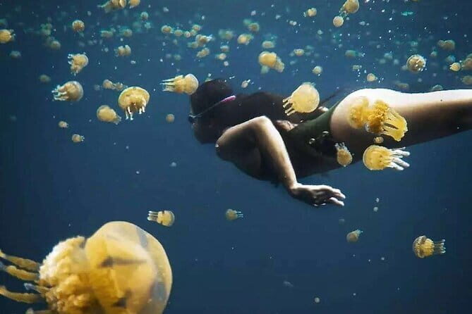 Siargao Private Sohoton Bucas Grande Tour with Lunch - Good To Know