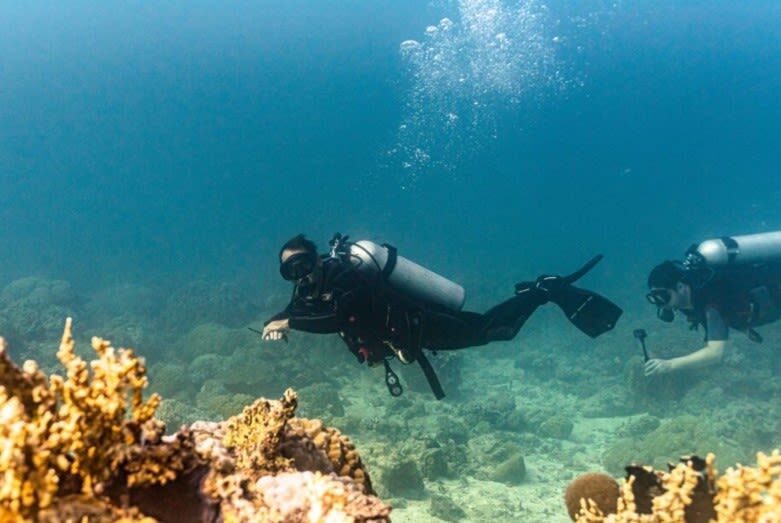 Siargao Serenity: Dive Twice in Mindanaos Jewel with PADI Center - Two sessions, one boat trip