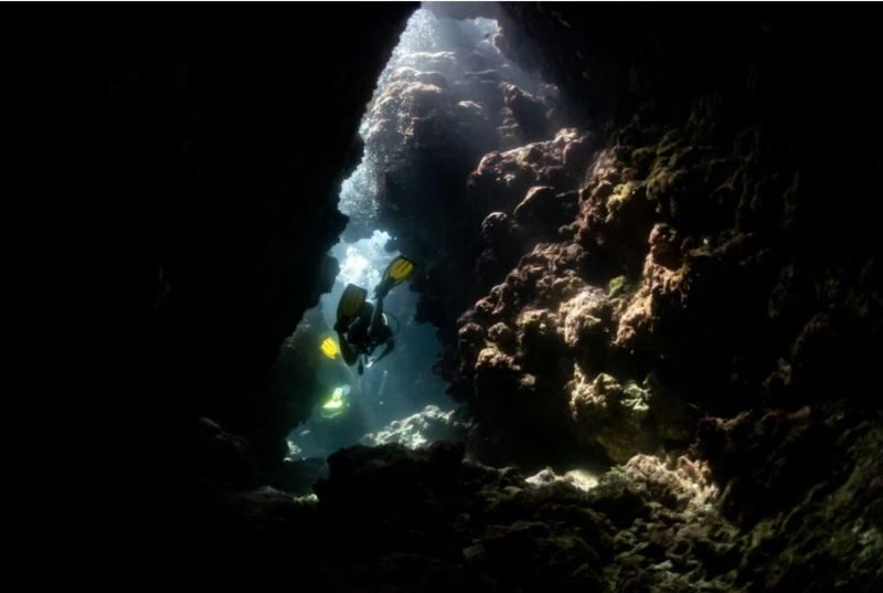 Siargao Serenity: Dive Twice in Mindanaos Jewel with PADI Center - What the water and sites may offer