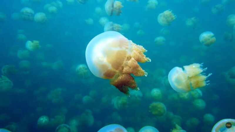 Siargao Sohoton Adventure Meets Corregidor Island - Good To Know