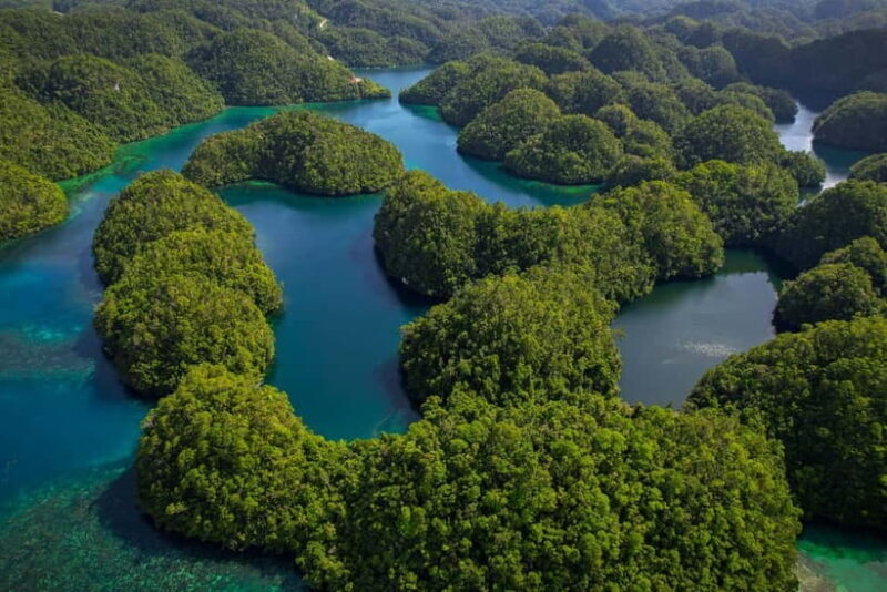 Siargao: Sohoton and Non-Sting Jellyfish Sanctuary Tour - Good To Know