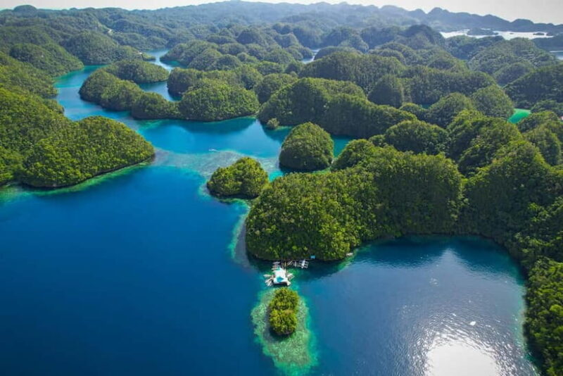 Siargao: Sohoton and Non-Sting Jellyfish Sanctuary Tour - The Practical Details: Transportation, Duration, and Safety