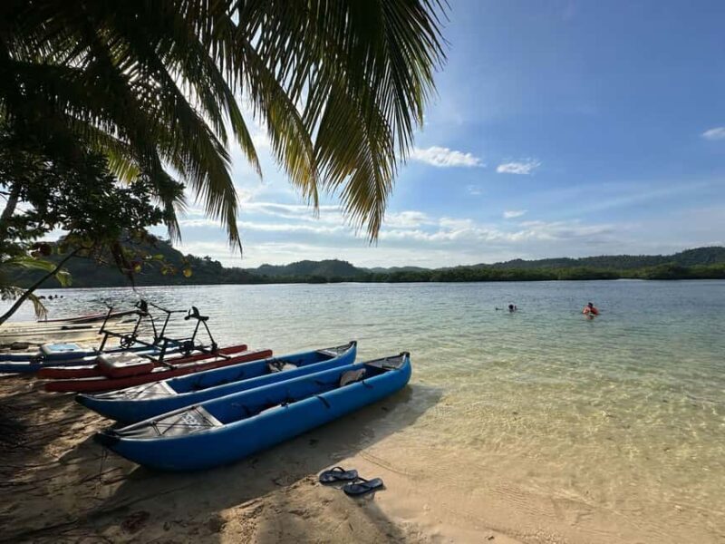 Siargao: Sunset Paddle Boarding and Firefly Watching Tour - Good To Know