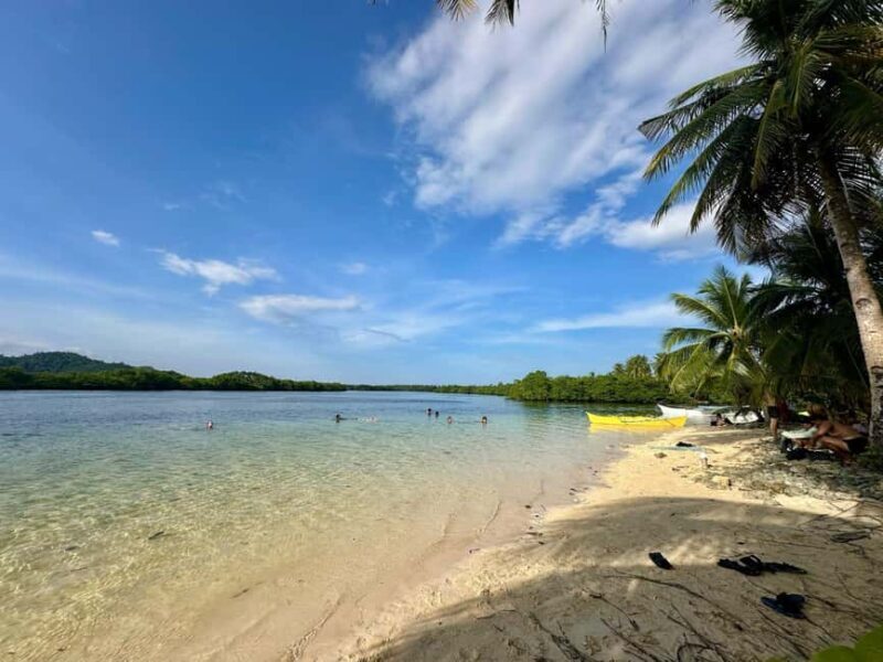 Siargao: Sunset Paddle Boarding and Firefly Watching Tour - An In-Depth Look at the Siargao Sunset Paddle Boarding and Firefly Watching Tour