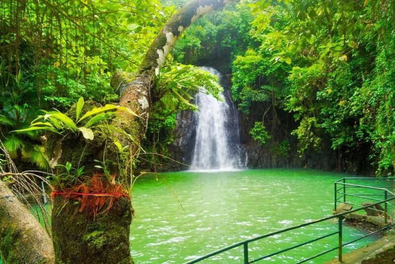 Siargao Tour C (Private Tour) - Good To Know