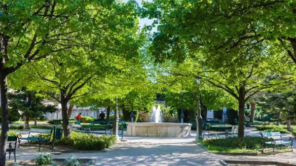 Šibenik: Ivans Walking Tour - Local Culture and Experiences