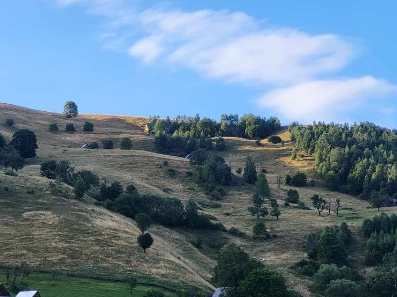Sibiu: Cindrel Mountains Hike with Traditional Brunch - Good To Know