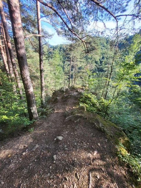 Sibiu: Cindrel Mountains Hike with Traditional Brunch - What to Expect on the Trail