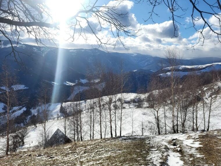 Sibiu: Cindrel Mountains Hike with Traditional Brunch - Transportation and Group Size