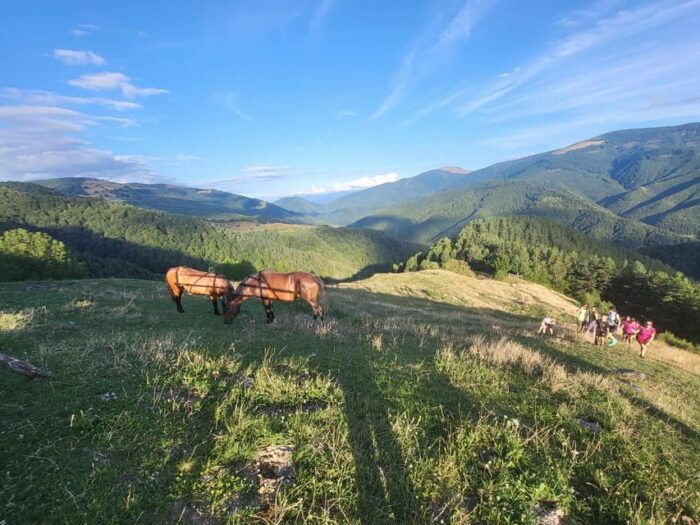 Sibiu: Cindrel Mountains Hike with Traditional Brunch - Who Will Love This Experience?
