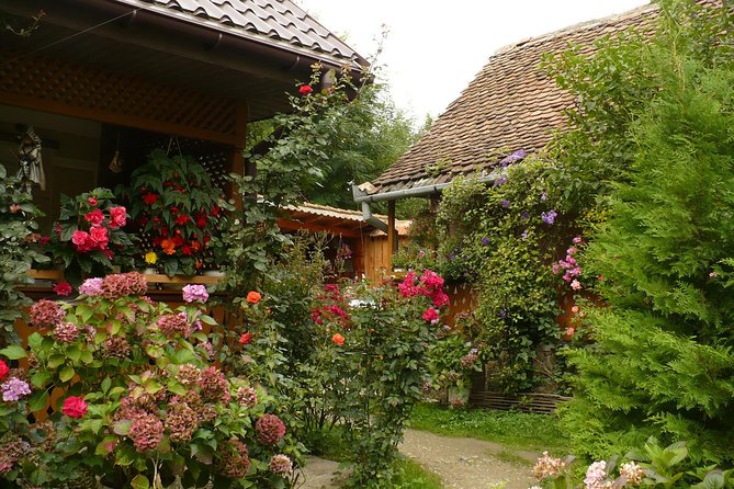 Sibiu Day Trip From Brasov - Hidden Gems Along the Way
