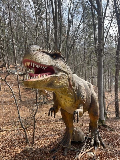 Sibiu: Draculas Castle and Dino Park Day Trip - Inclusions and Exclusions