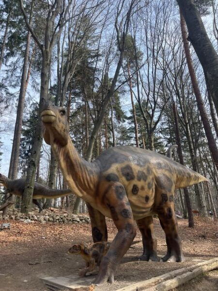 Sibiu: Draculas Castle and Dino Park Day Trip - Customer Feedback