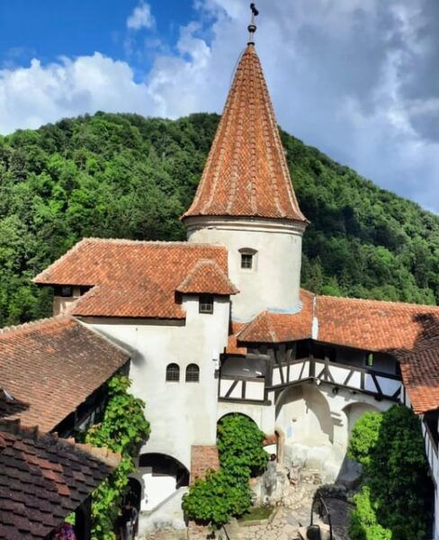 Sibiu: Draculas Castle and Dino Park Day Trip - Booking and Pricing