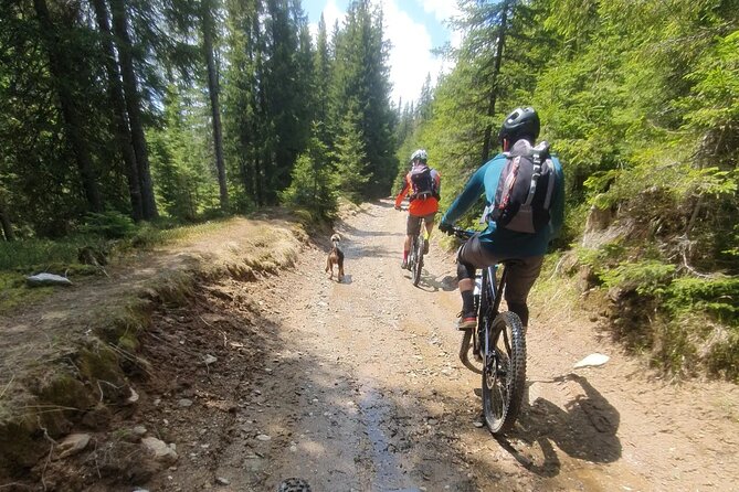 Sibiu: E-Bike Guided Tours - Cancellation Policy Details