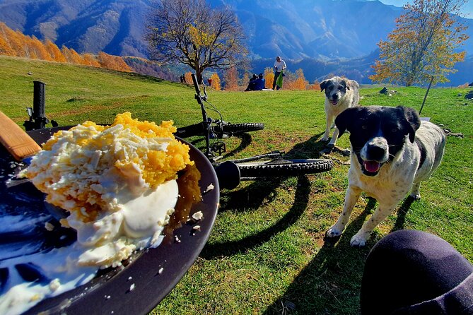 Sibiu: E-Bike Guided Tours - Price, Reviews, and Additional Information