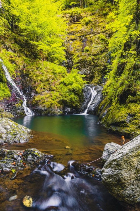 Sibiu: Famous Transfagarasan Road and Balea Lake Day Tour - Key Points