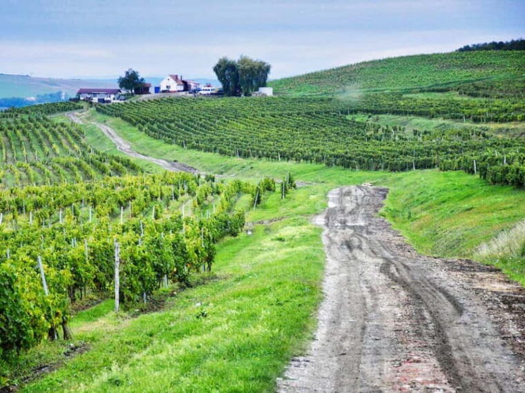 Sibiu, UNESCO & wine tasting tour (from Cluj) - Practical Considerations