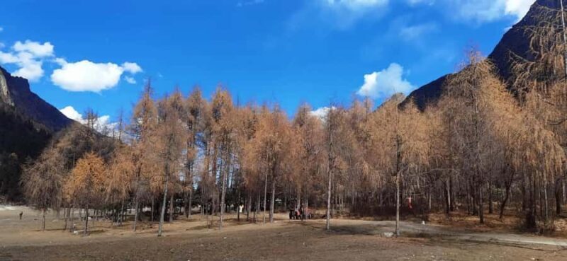 Sichuan: Bipeng Valley Ticket - The Tour Experience: Day-by-Day Breakdown