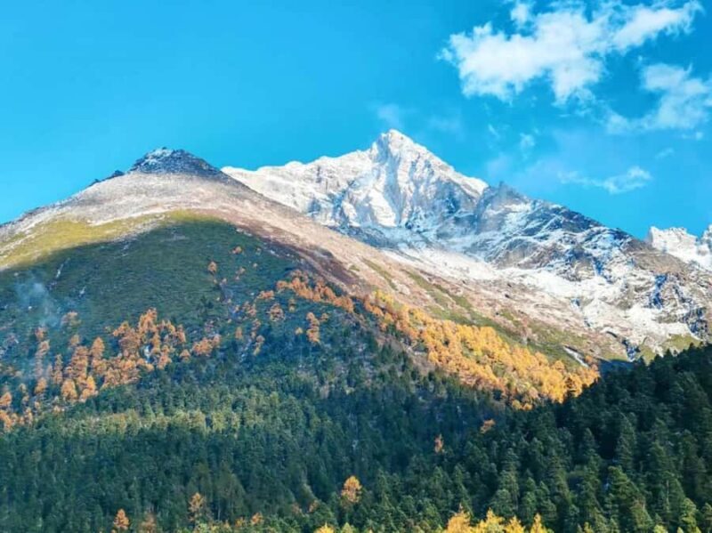 Sichuan: Bipeng Valley Ticket - FAQ