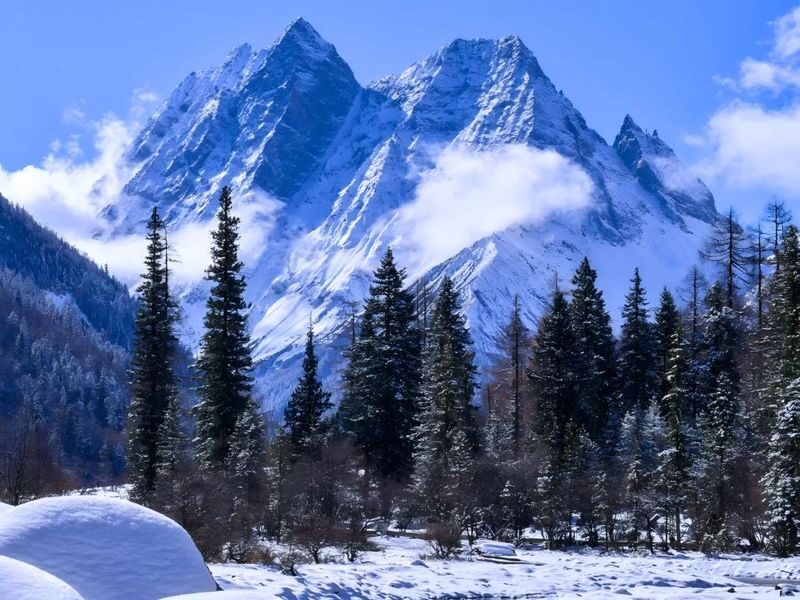 Sichuan Bipenggou Mount Siguniang 2-Day Boutique Tour - What the price covers, and what it doesn’t