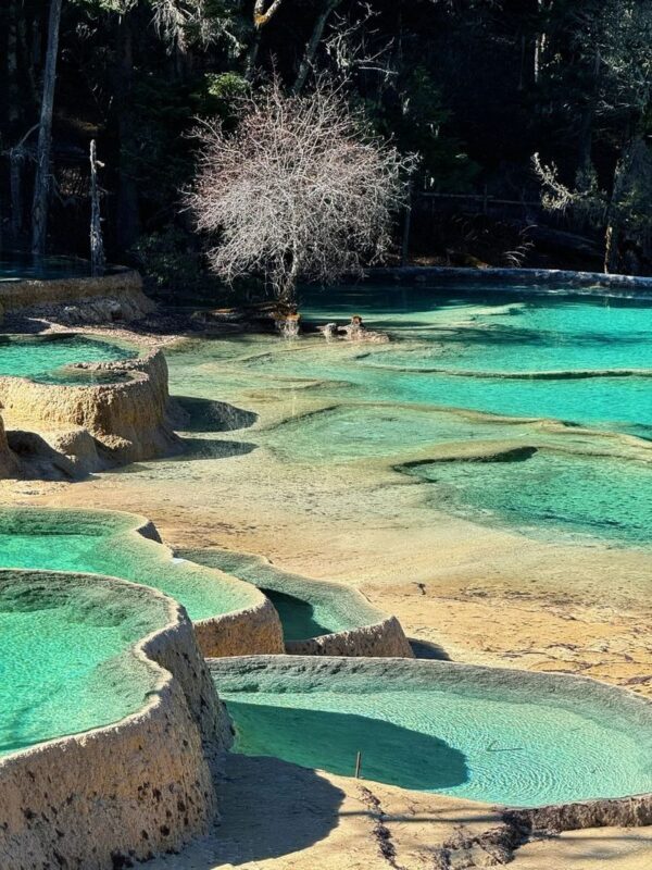 Sichuan Jiuzhaigou and Huanglong 2-Day Local Private Tour - What the private service includes, and what it does not