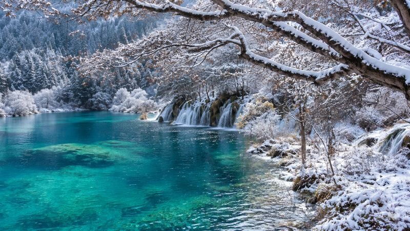 Sichuan Jiuzhaigou, Huanglong, Dujiangyan, and Panda Paradise 3-Day 2-Night Guided Tour (Land First Class) - Who should book this trip?