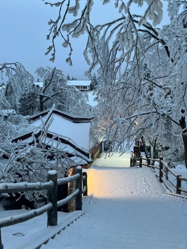 Sichuan Mount Emei Leshan Classic 2-Day Tour - Lunch, hot pot and the hotel night
