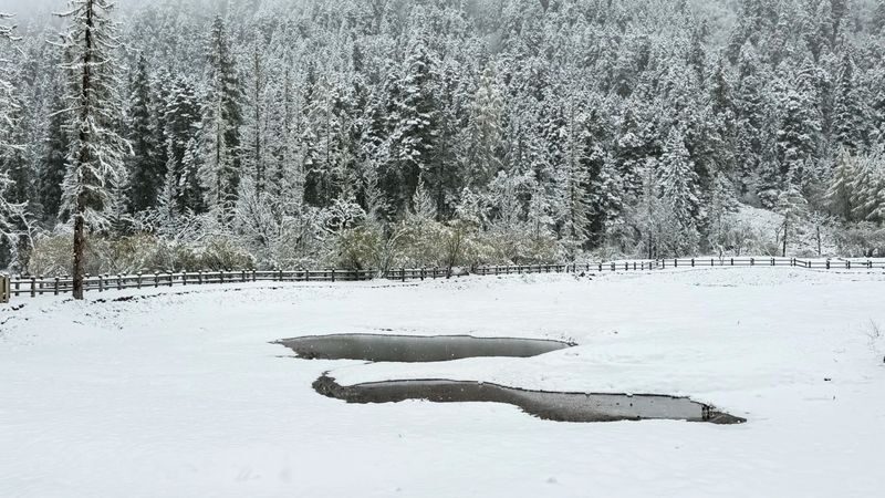 Sichuan Mount Siguniang Shuangqiao Valley and Changping Valley 2-Day Deep Tour - Should you book it?