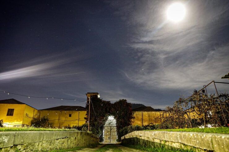 Sicilian Cooking Class in the Historic Florio Adamo Baglio - Unique Cooking Experience