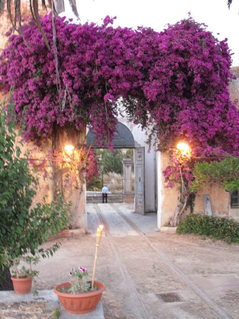Sicilian Cooking Class in the Historic Florio Adamo Baglio - Historical Setting and Atmosphere