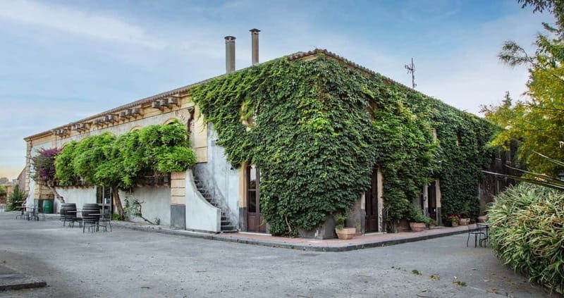 Sicilian Soul: Winery Tour, Wine & Food Tasting in Catania - Introduction