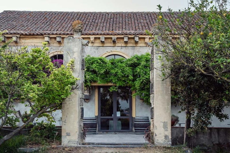 Sicilian Soul: Winery Tour, Wine & Food Tasting in Catania - Why This Tour Works Well