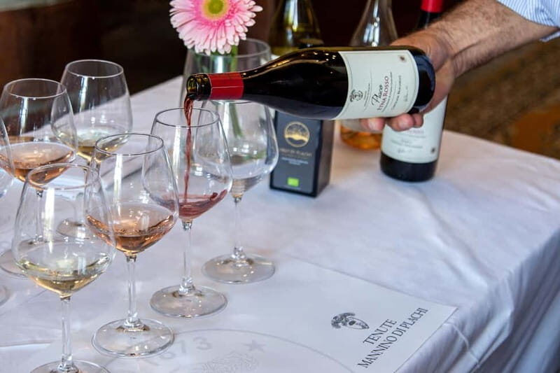 Sicilian Soul: Winery Tour, Wine & Food Tasting in Catania - Who Should Book This Experience?