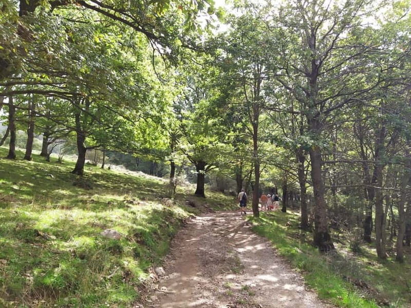 SICILIAN VILLAGES & RICOTTA PARTY departure from Cefalù area - Practical Details and Considerations